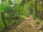 Wetmore Bridle Trail Cuyahoga Valley National Park