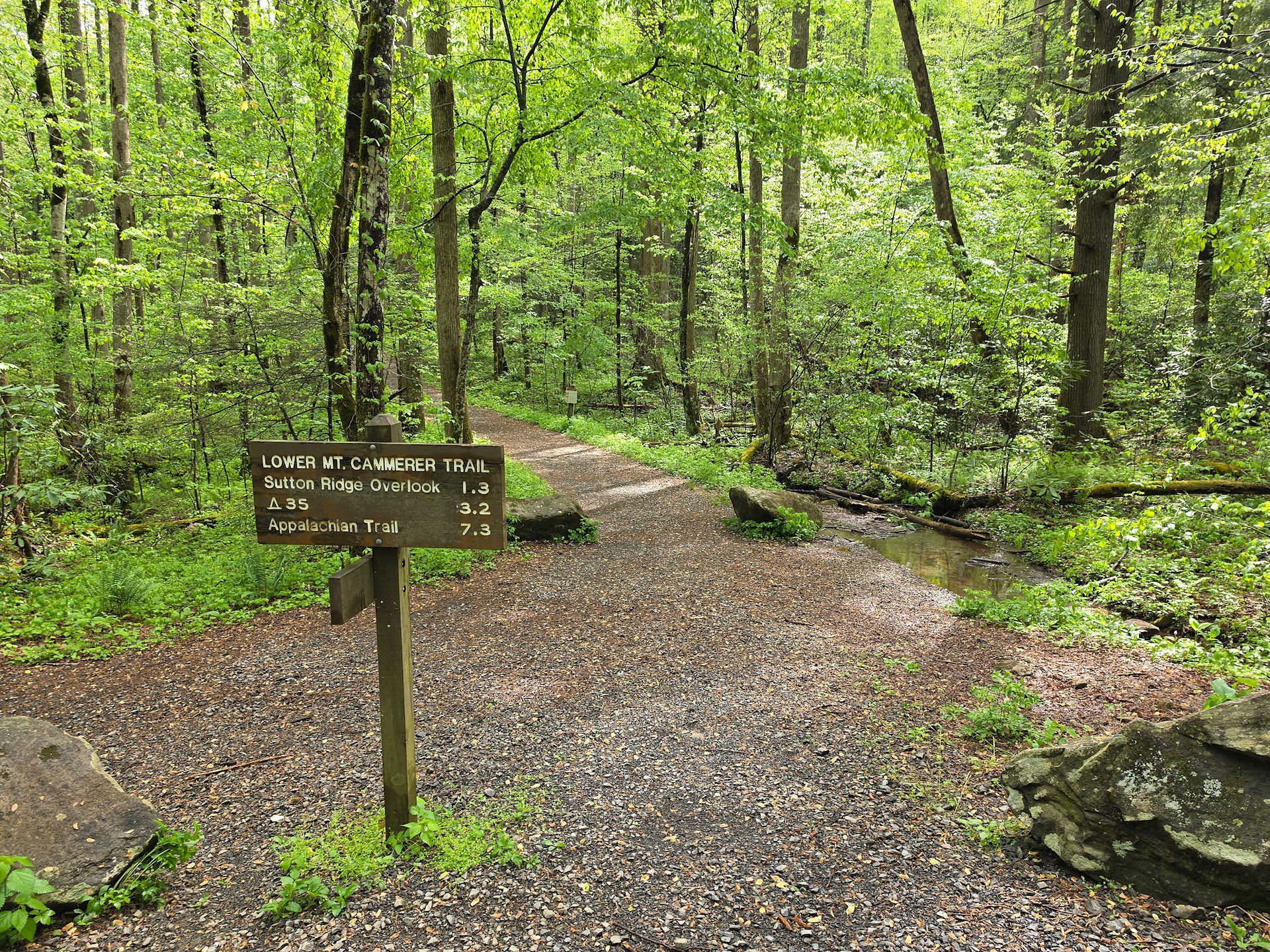 Mount Cammerer Great Smoky Mountains National Park hike
