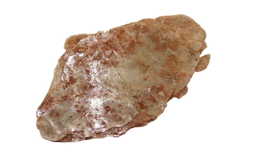 Towner Mound artifact