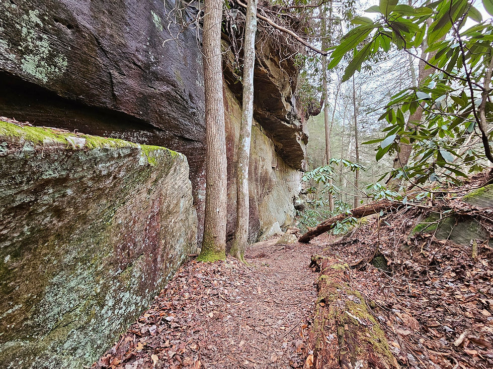 Pine Island Double Falls trail