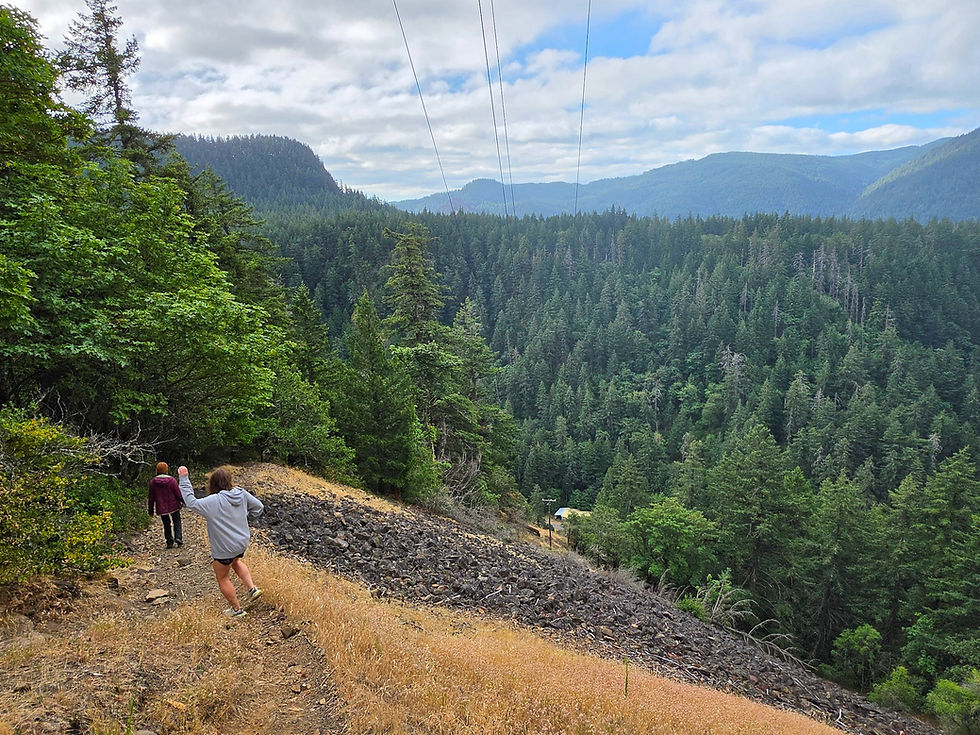 Spirit Falls Trail Columbia River Gorge