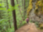 Panther Creek Falls Trail Washington