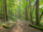 Riding Run Trail Cuyahoga Valley National Park