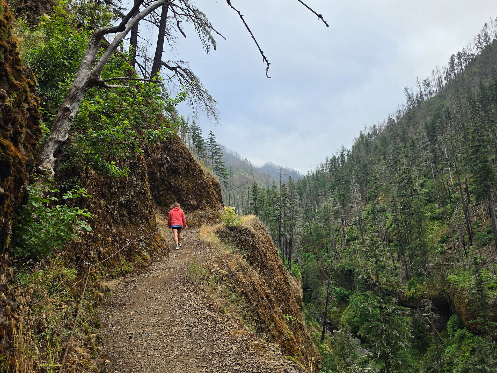 Eagle Creek Trail Columbia River Gorge