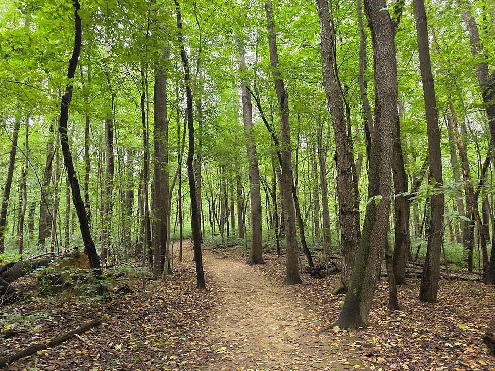 Indian Spring Trail Munroe Falls Metro Park Akron