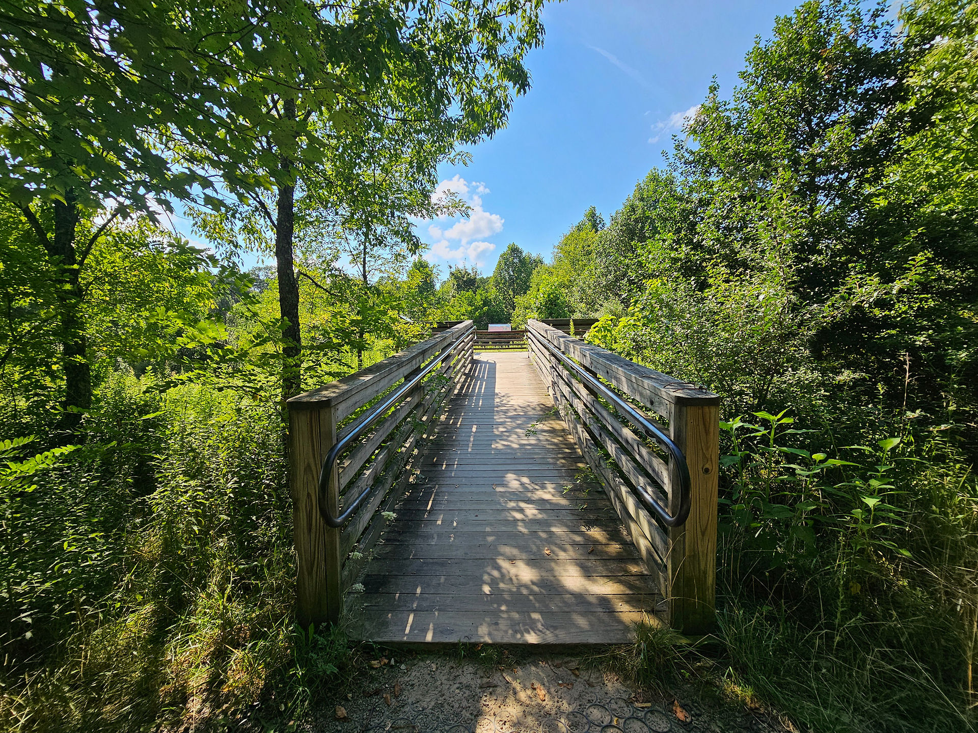 Long Point Trail New River Gorge
