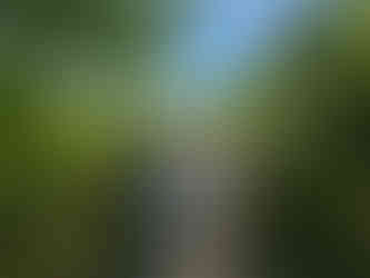 Long Point Trail New River Gorge