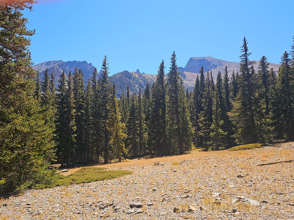 Bristlecone Alpine Lakes Trail Great Basin National Park