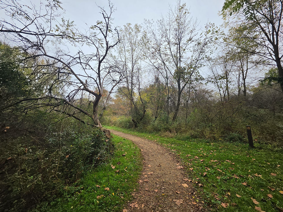 Chippewa Trail Silver Creek Metro Park