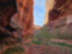 Lower Neon Canyon