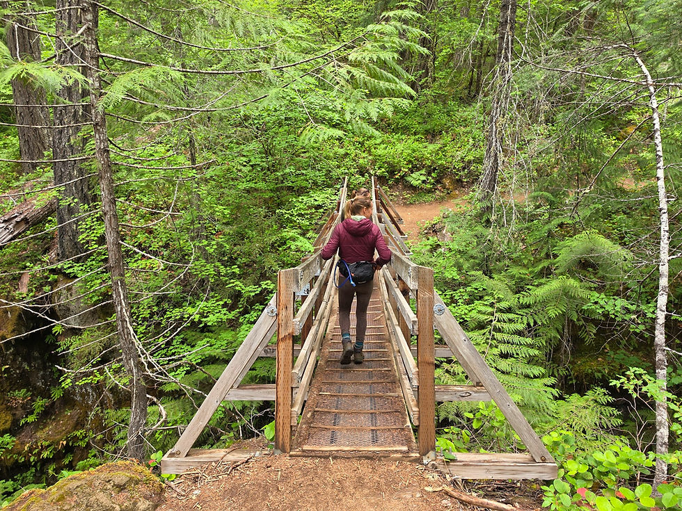 Falls Creek Falls Trail Washington