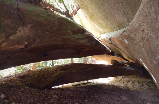 Double Deer Arch