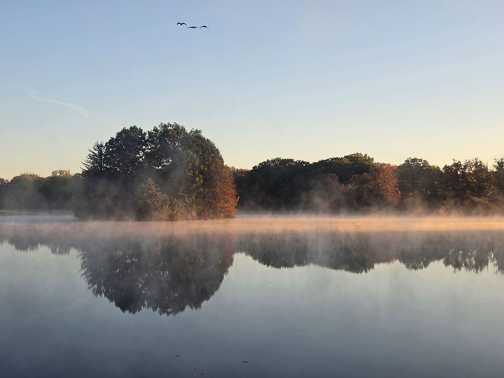 Hudson Springs Park hiking trail