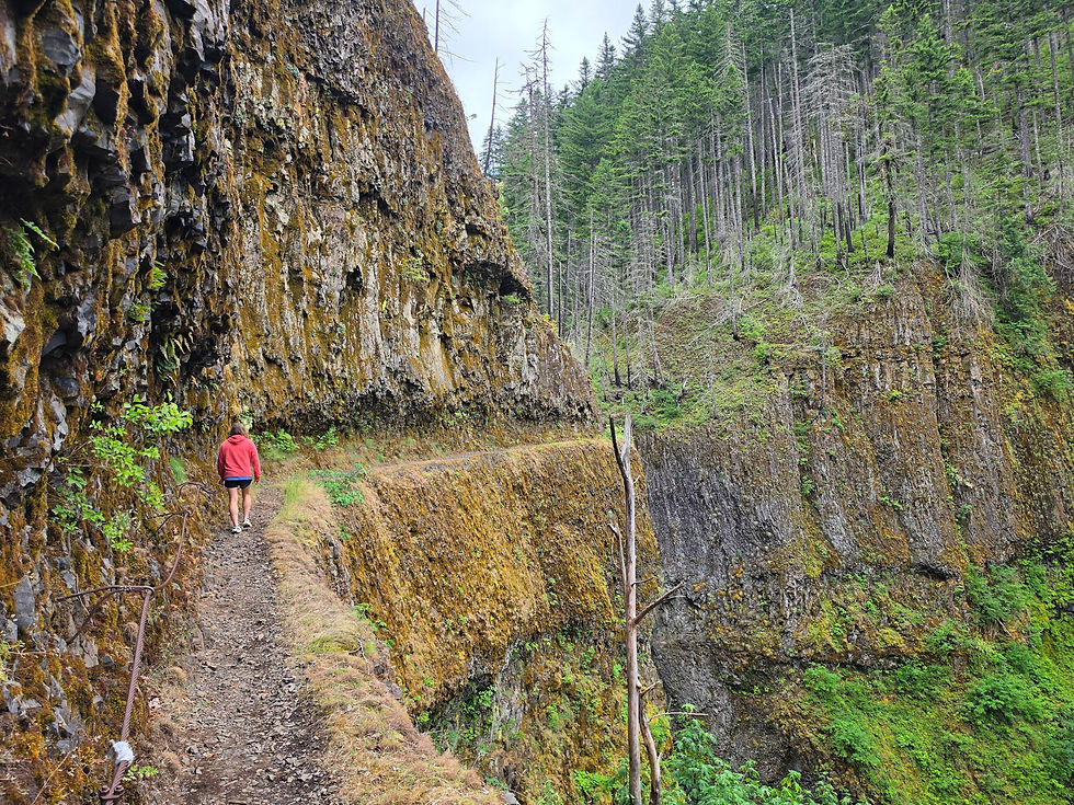 Eagle Creek Trail Columbia River Gorge
