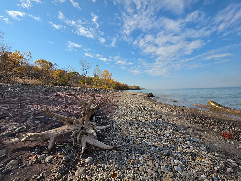 Mentor Lagoons hiking trail