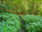 Perkins Trail Cuyahoga Valley