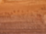 Devil's Lane Rock art Canyonlands