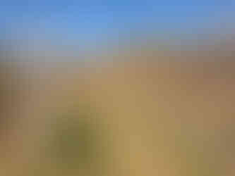 Roan Highlands Jane Bald