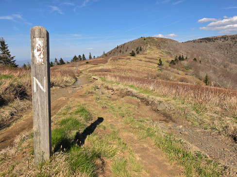 Roan Highlands Jane Bald