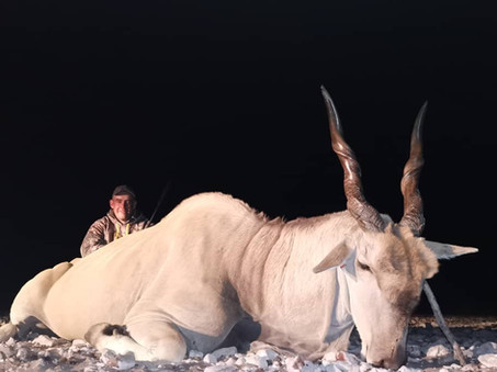 Eland6.jpeg