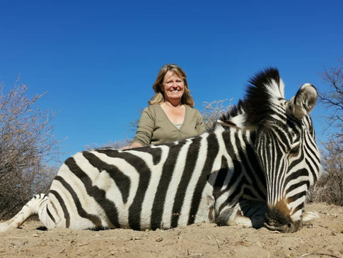 Zebra.jpeg