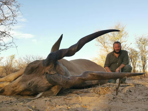 Eland.jpeg