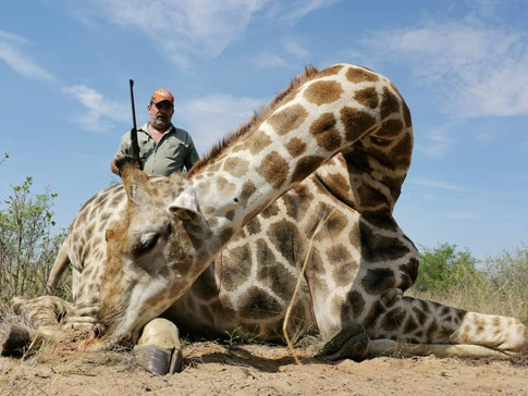 Giraffe.jpeg