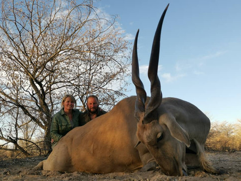 Eland1.jpeg