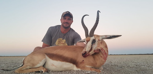 Springbok.jpeg