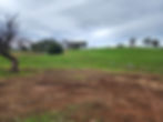 horse wire fence.jpg