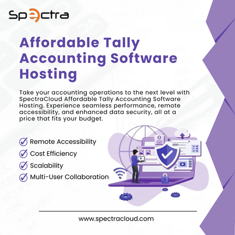 The Ultimate Cost-Saving Solution: Affordable Tally Accounting Software Hosting
