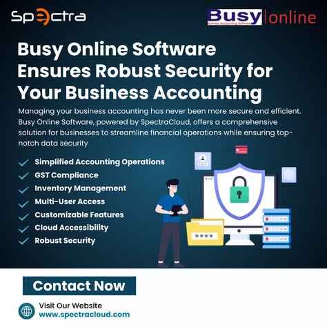 How Busy Online Software Ensures Robust Security for Your Business Accounting