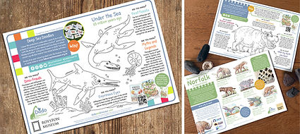 Dodo and Dinosaur colouring competition examples low res.jpg