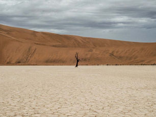 Why Does God Allow Pain & Suffering?