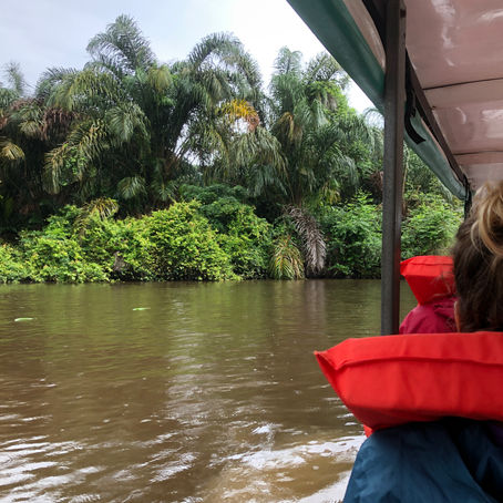 Día 6 y 7: Tortuguero