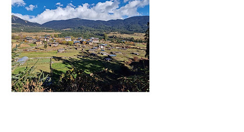 Test-About5.jpg