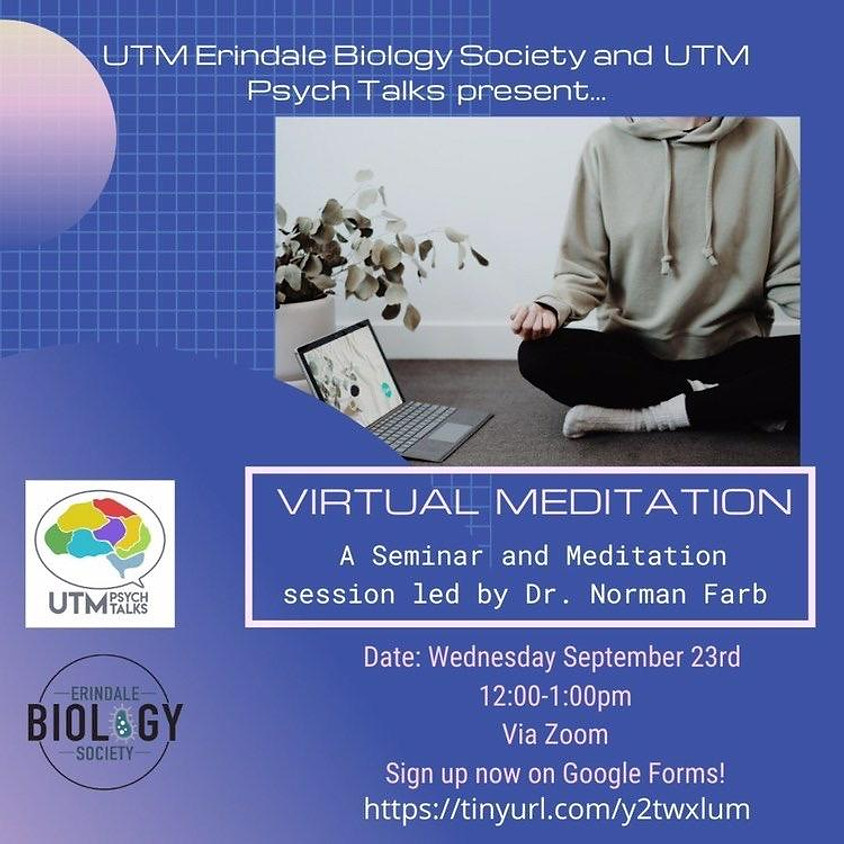 Virtual Meditation with Professor Farb