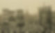 1164108.jpg