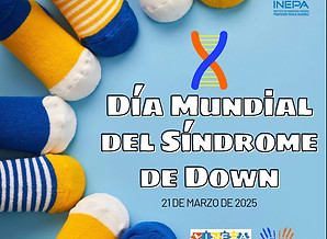 WhatsApp Image 2025-03-25 at 10.28.14.jpeg