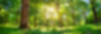 AdobeStock_211968677.jpeg