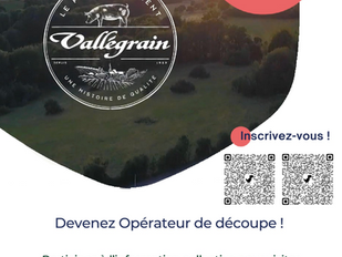 Recherche- Opérateur- de découpe