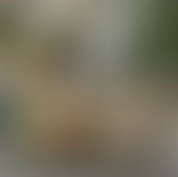 Envie d'une cuisine pleine de vie ? Rendez-vous chez votre cuisiniste COMERA à Nogent-le-Rotrou