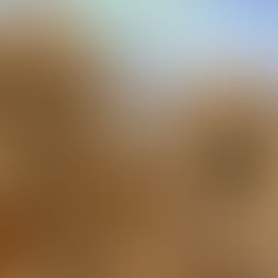 Cosme Literie : un savoir-faire artisanal au service du sommeil