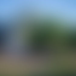 RENCONTRE AVEC : LE MADRIGAL