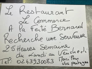 Recherche- Serveuse