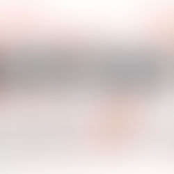 L’INVESTISSEMENT LOCATIF : OPTIMISER SON PATRIMOINE