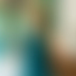 Nadia Sangnier – Réflexologie plantaire et soins énergétiques à Nogent-le-Rotrou