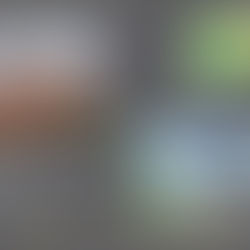 LE TAUX D’ENDETTEMENT ET LA CAPACITÉ D’EMPRUNT