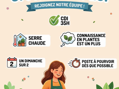 Recherche- En CDI- 35H