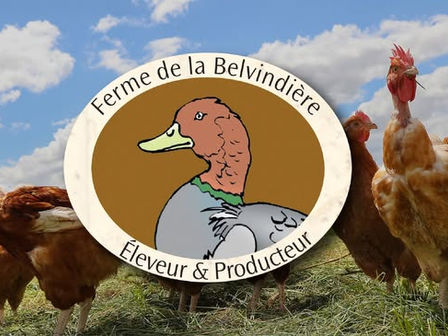 CDI en ferme : poste polyvalent en élevage de volailles